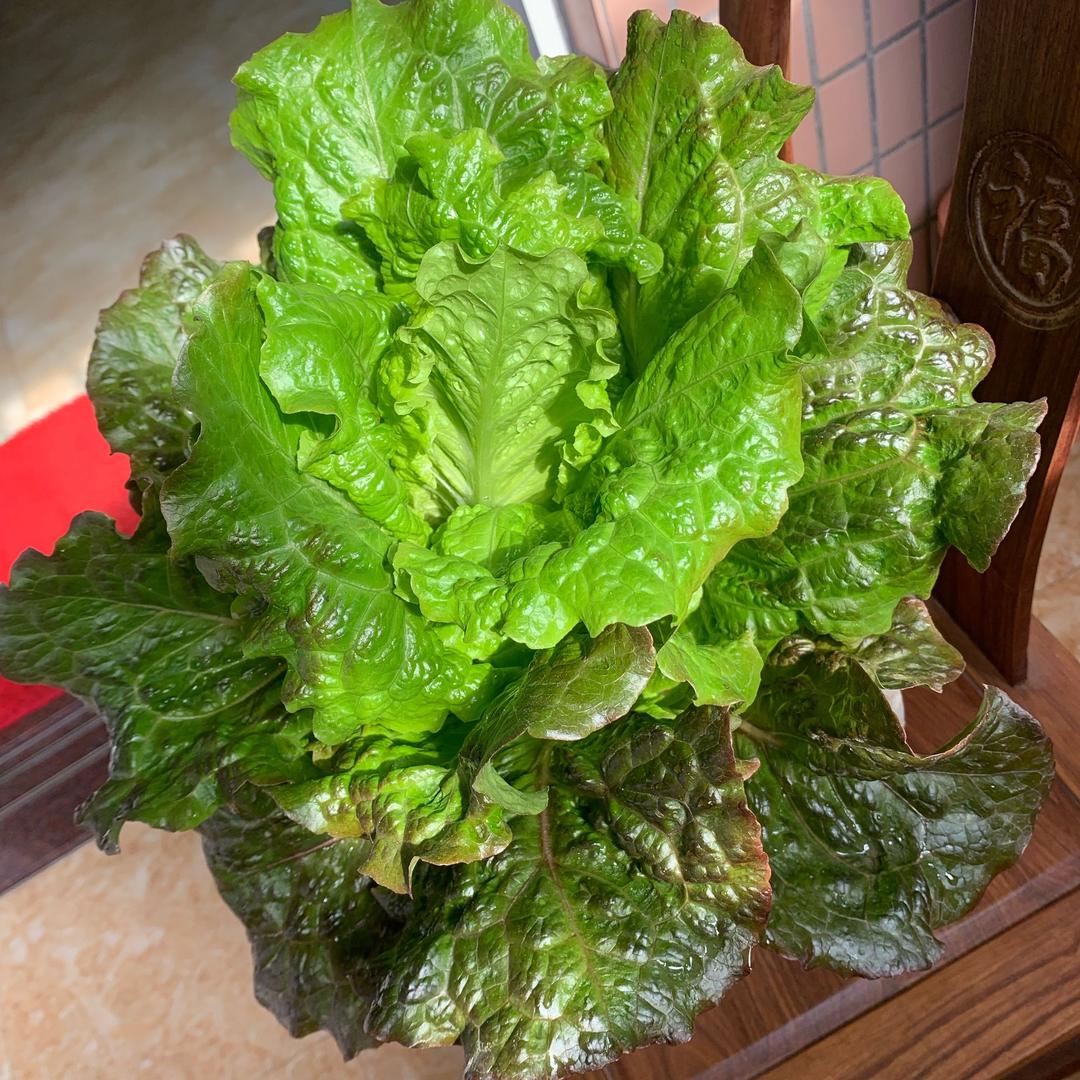 李姐：你有鼻炎我有药，鼻炎粉，净癣止痒药