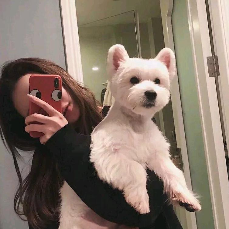 ヾ(❀╹◡╹)ﾉ~