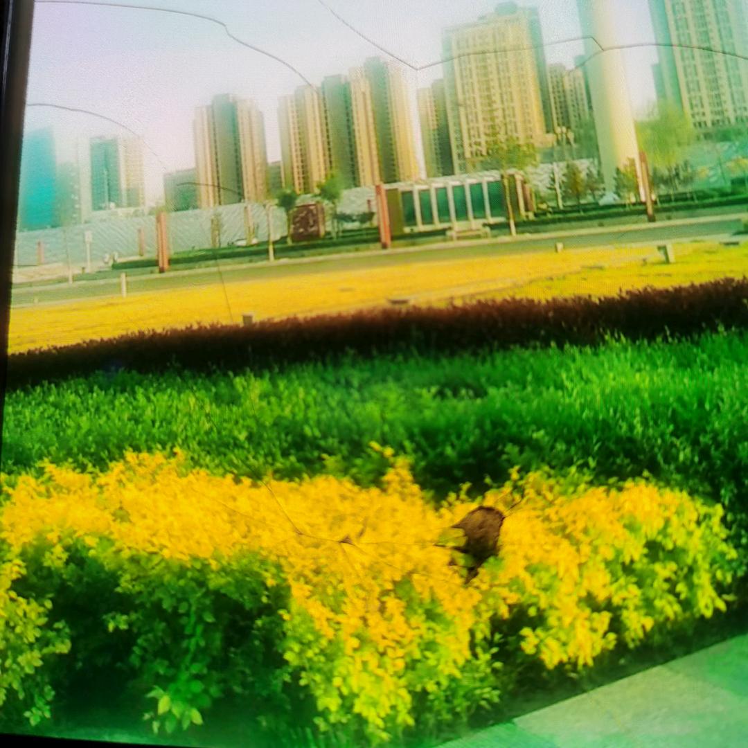 超越梦想，的幸福