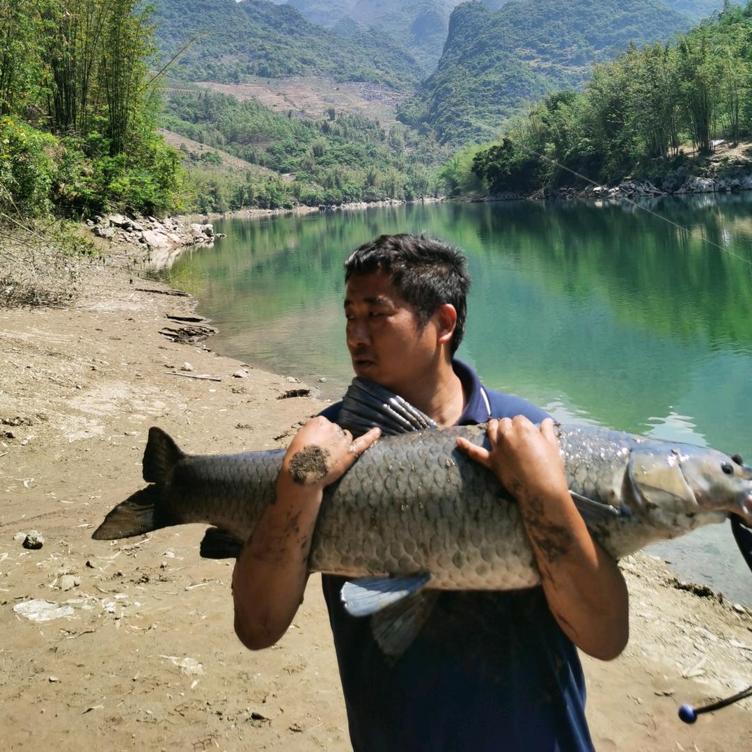 游钓万峰湖