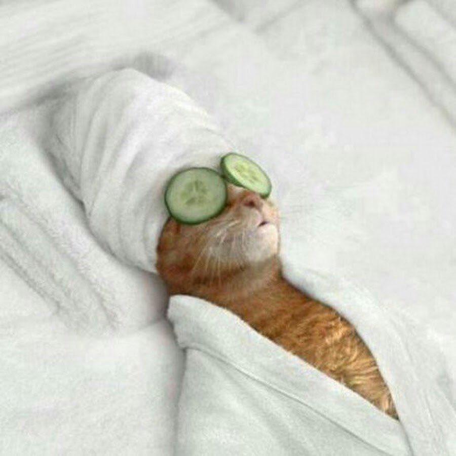 一条咸鱼高晨尧