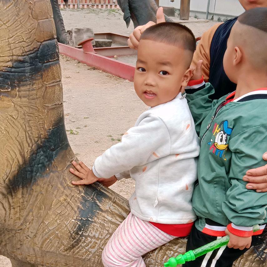 豆腐东施，传统豆浆豆腐花
