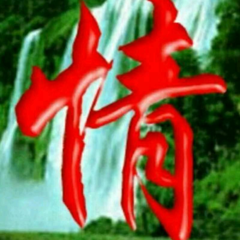 天天开心