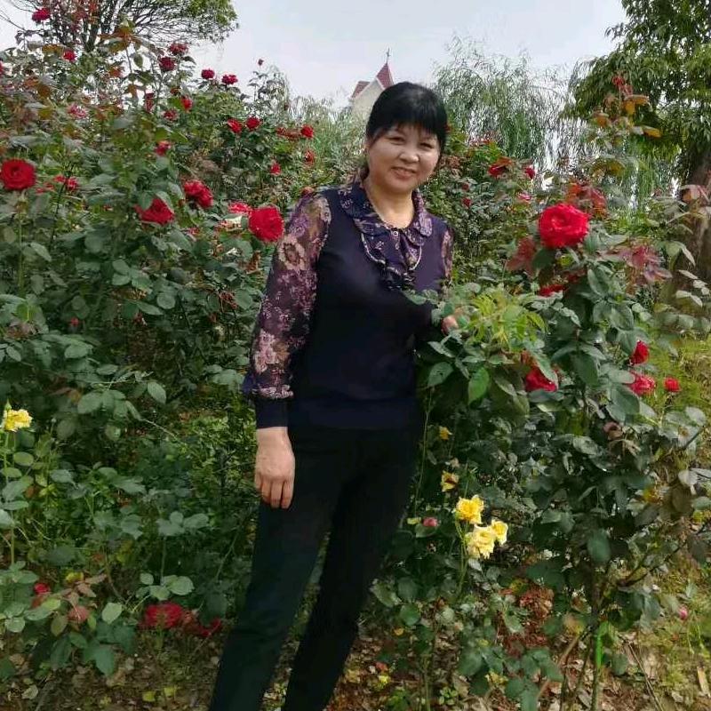 小兰