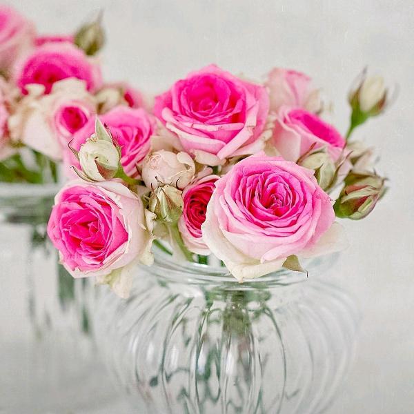 ღ᭄🍒金金᭄💞࿐:🦋🦋