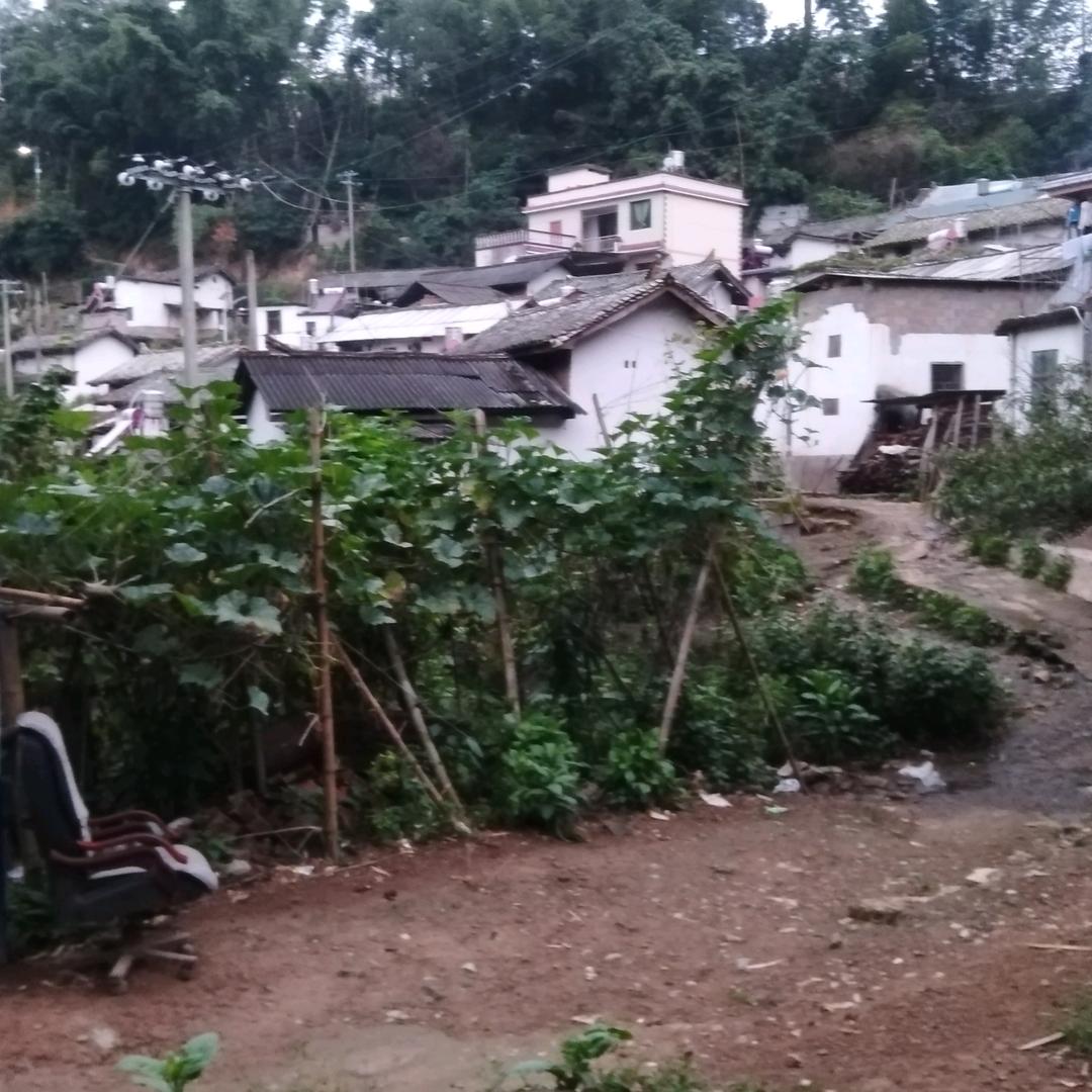 我是哈尼小哥哥