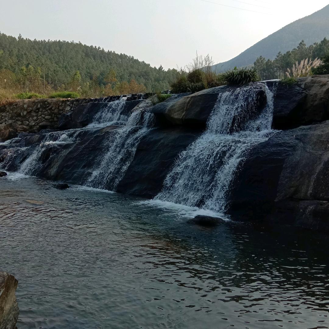 顺锋农场