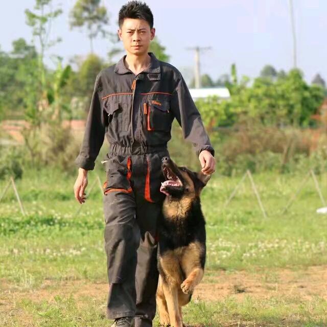 亿融标榜犬业