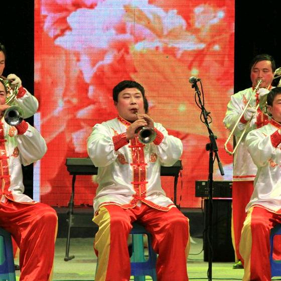 山西长治市郑元帅文化传媒有限责任公司
