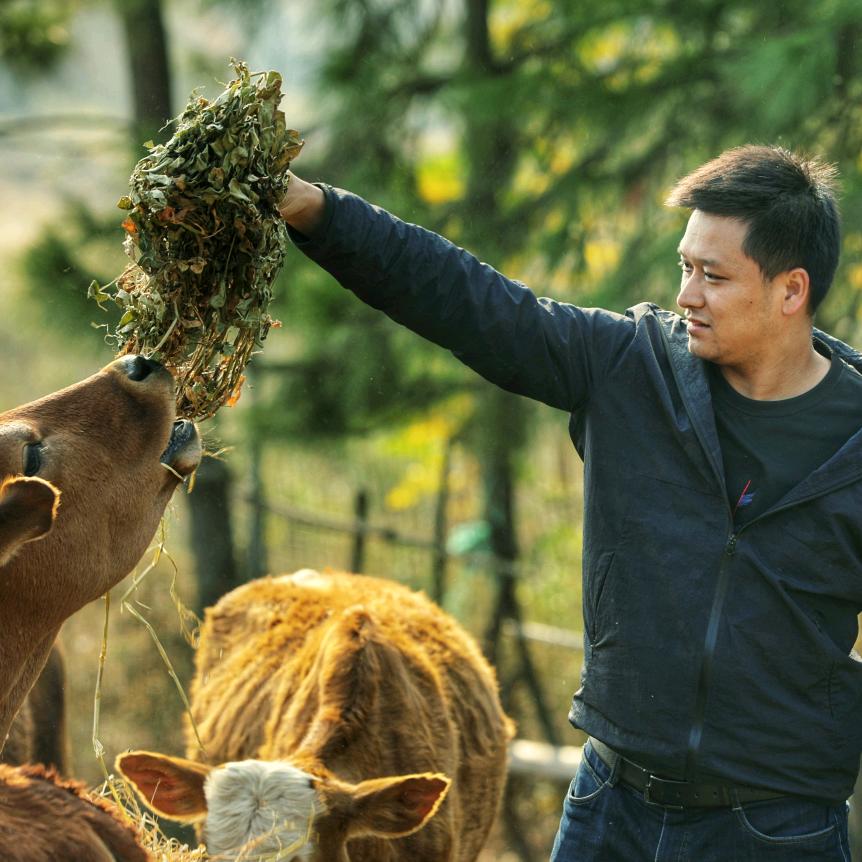 小武哥的江湖