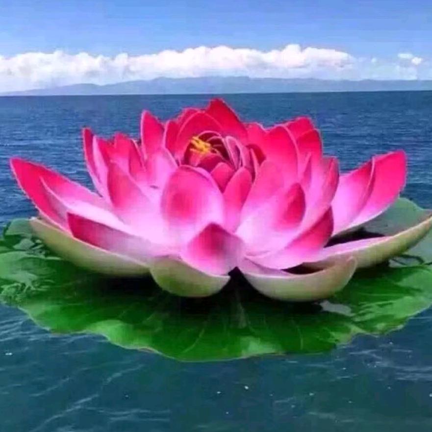 开心幸福每天