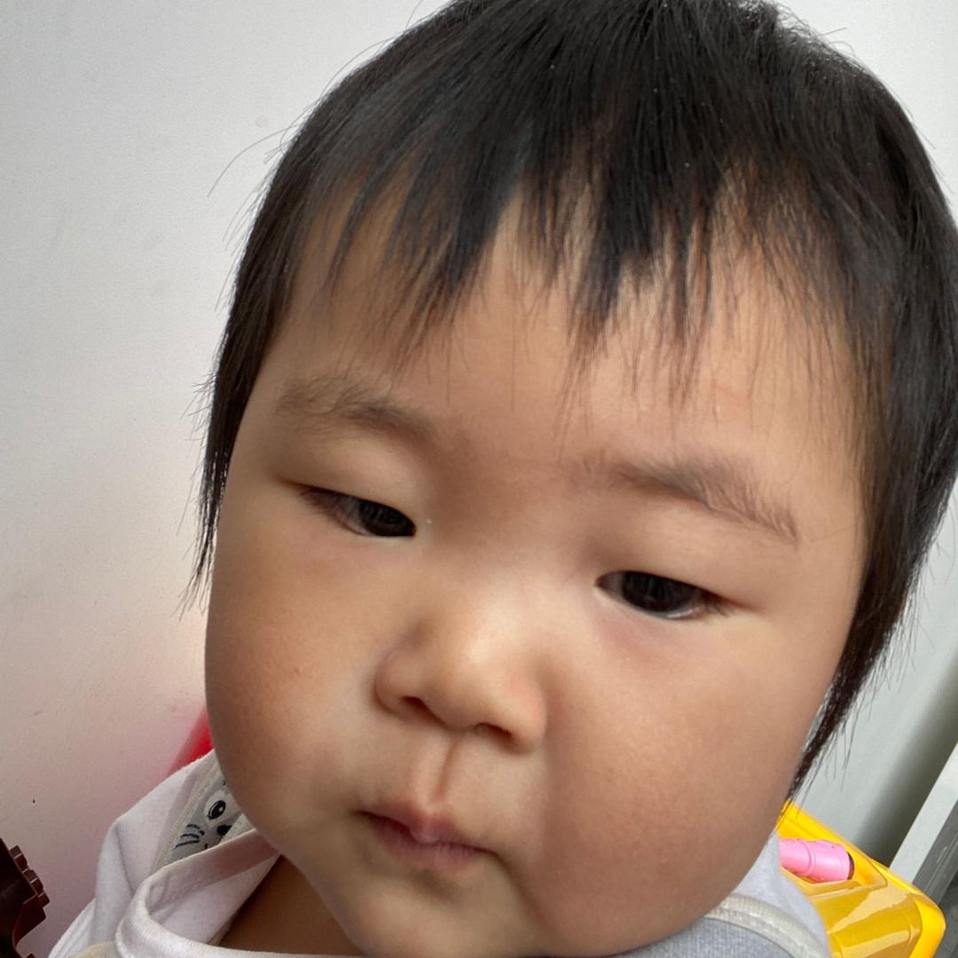豆豆飞