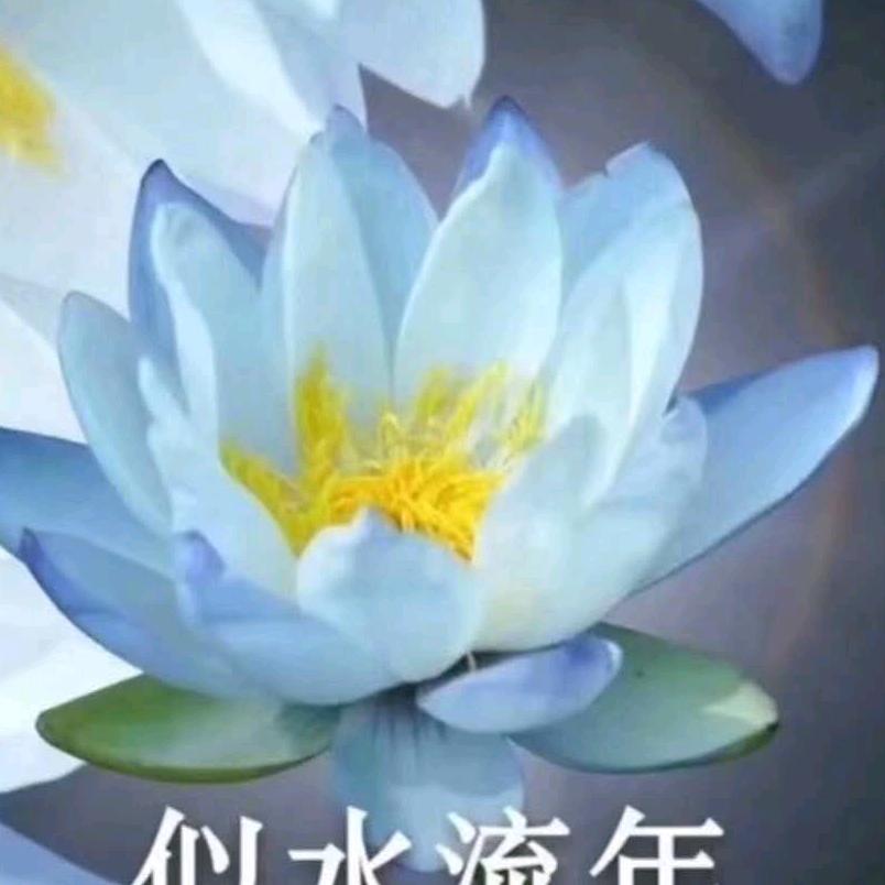 陈永霞