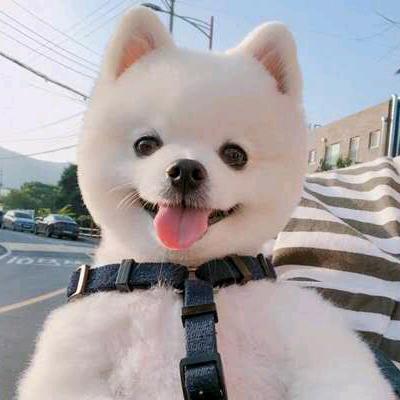 清风就是蓝精灵