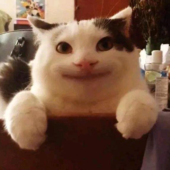 钢板先生
