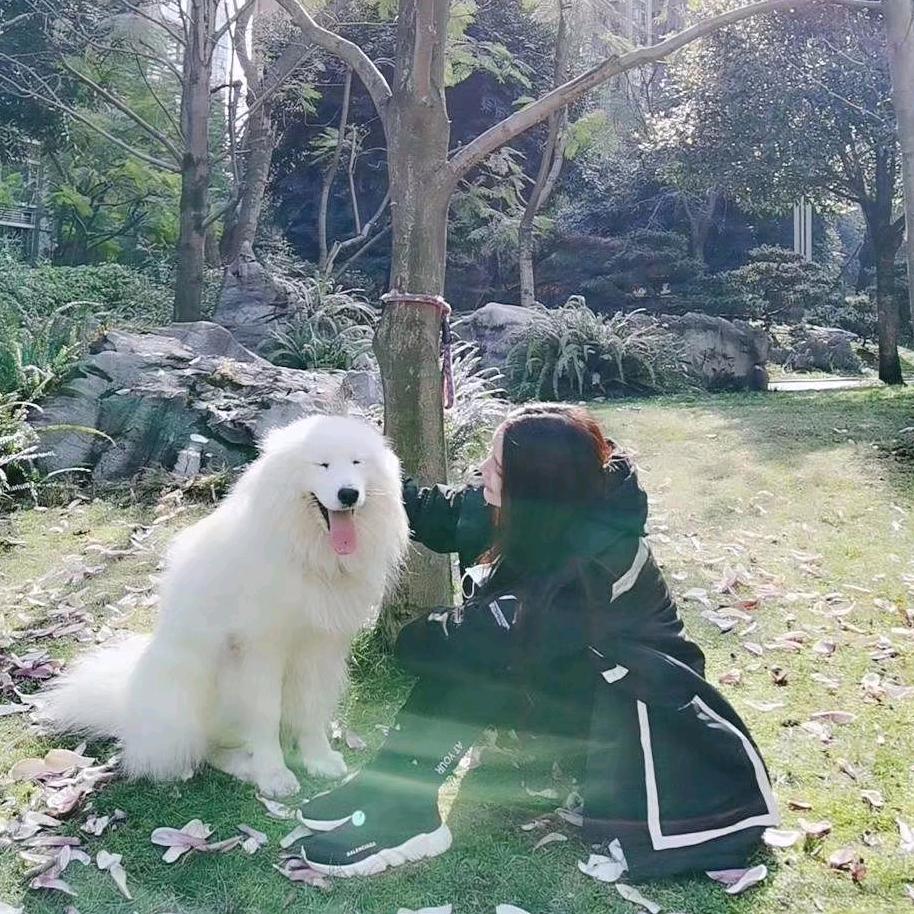 馨昕