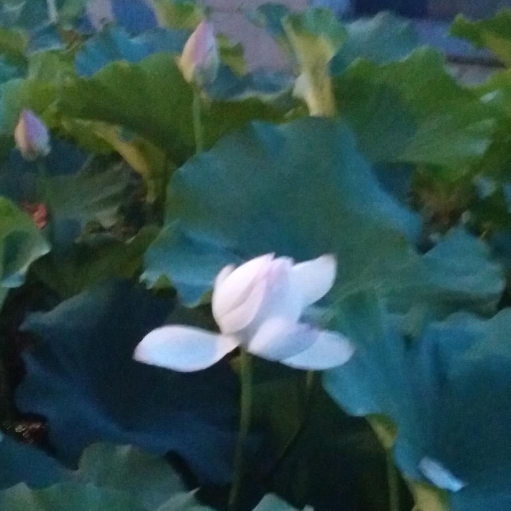 小小幸福
