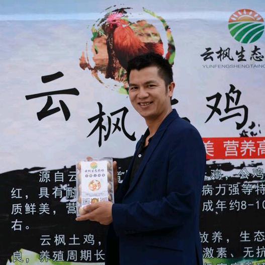 云枫教你养殖（收徒中）