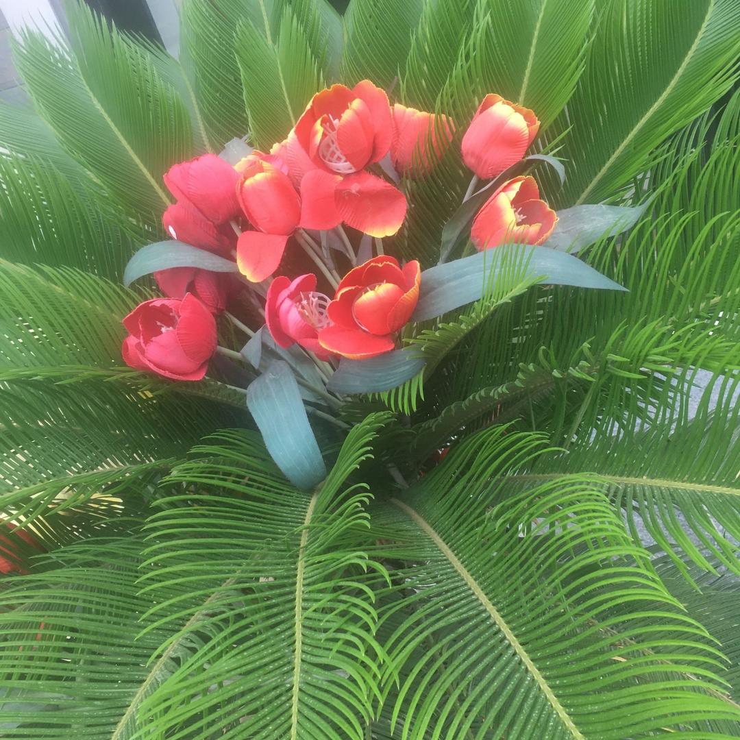 鲁西南四姐妹一婆婆