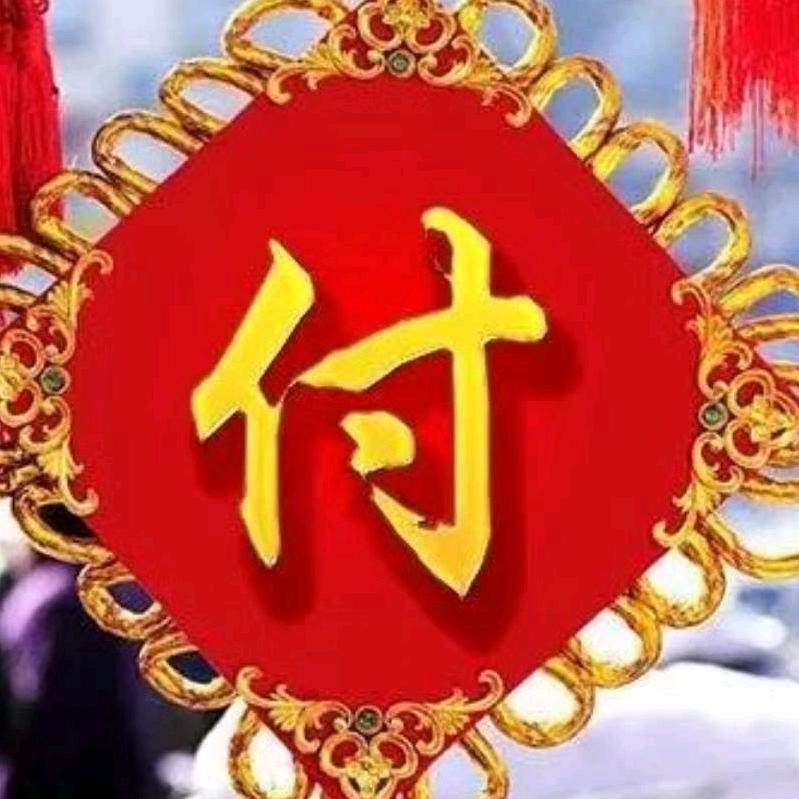 傲雪映寒梅