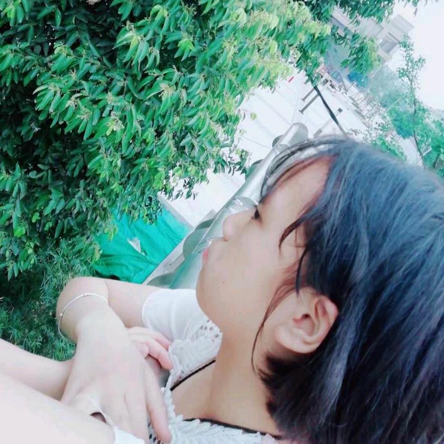 🍀幸运的四叶草