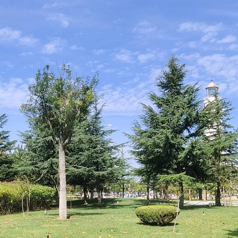 爱华