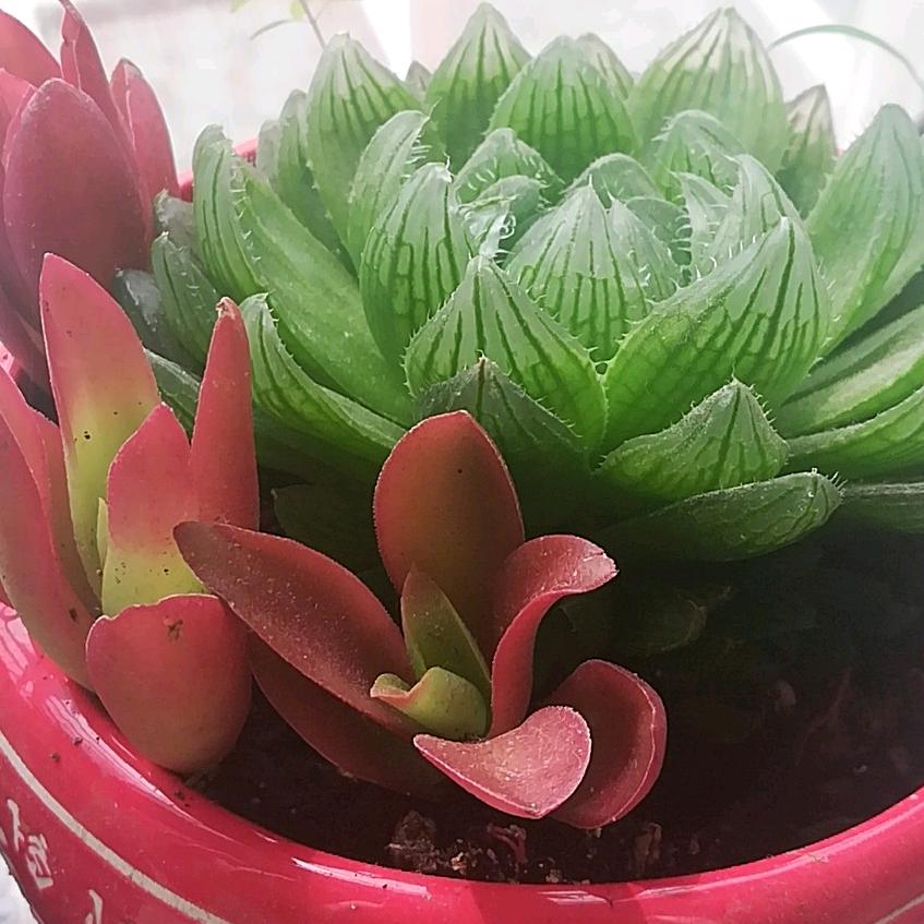 多财多亿🌹