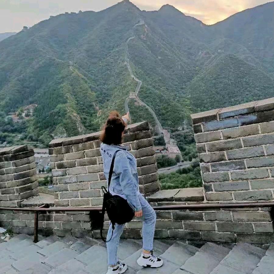 （交家电燕子）