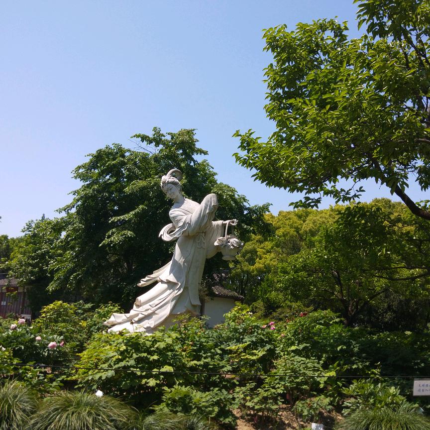 芳华飞跃