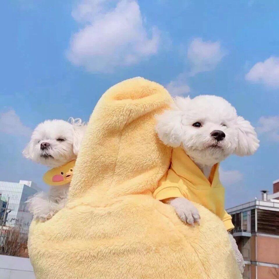 晶科电子实力回收电路板通信板钢面镜面芯片