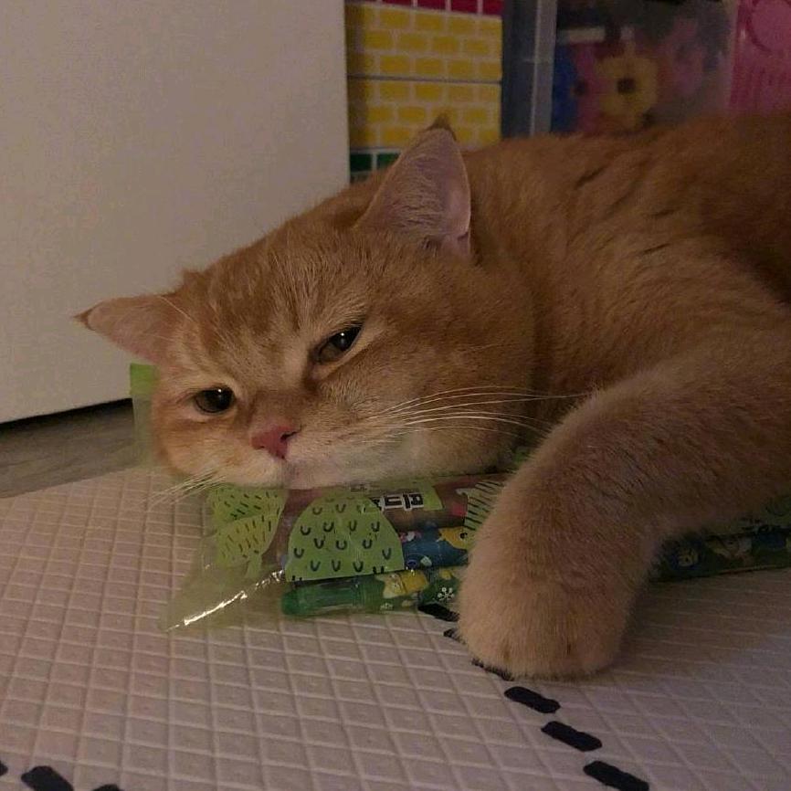 能吃CU的菇凉😄