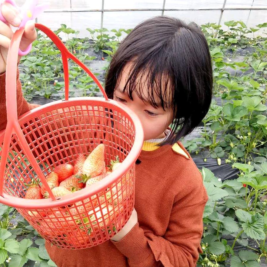 萍子🍎