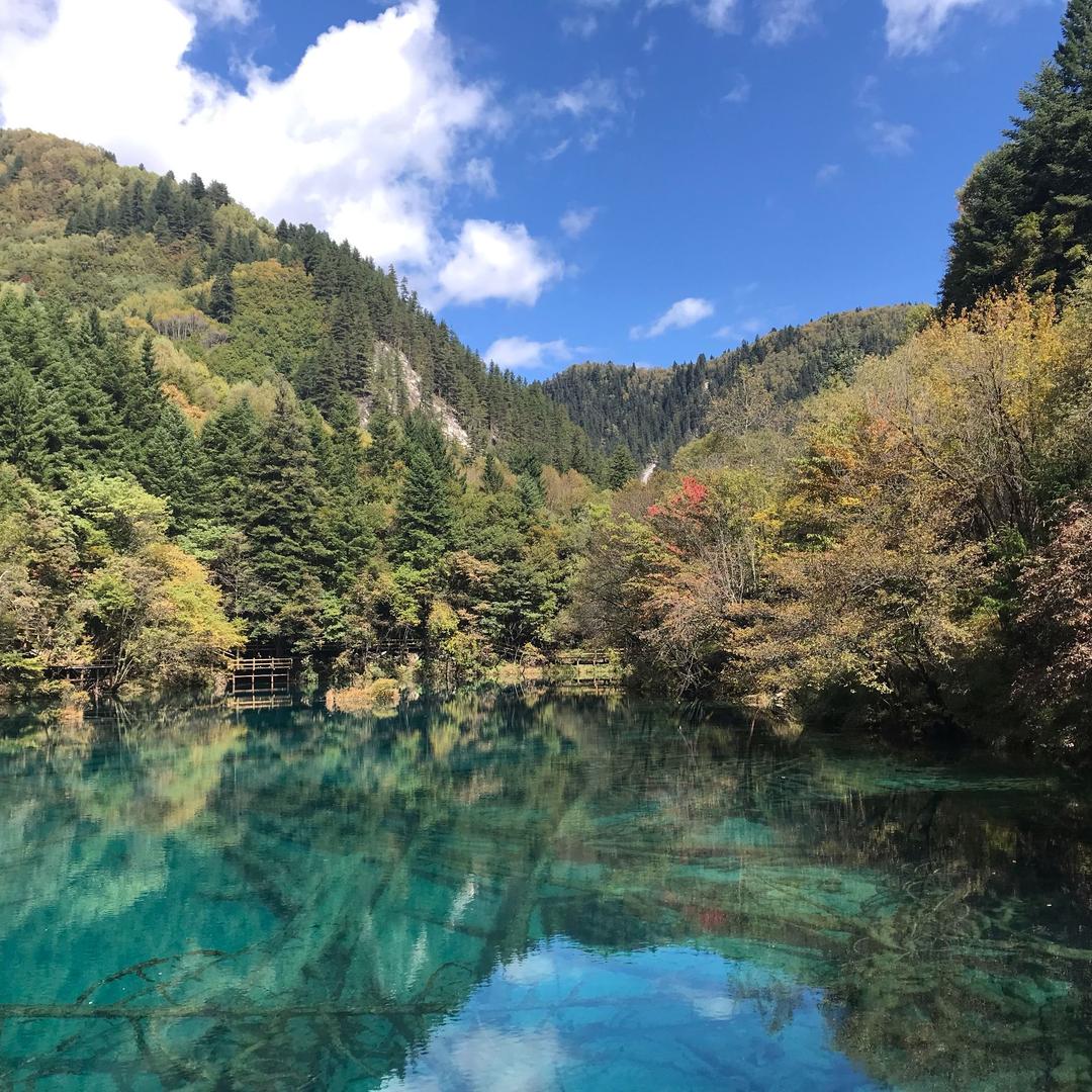 琦陵小五直播号