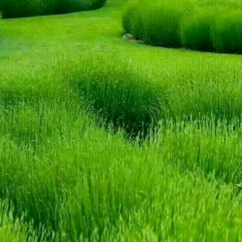 靠谁不如靠自己