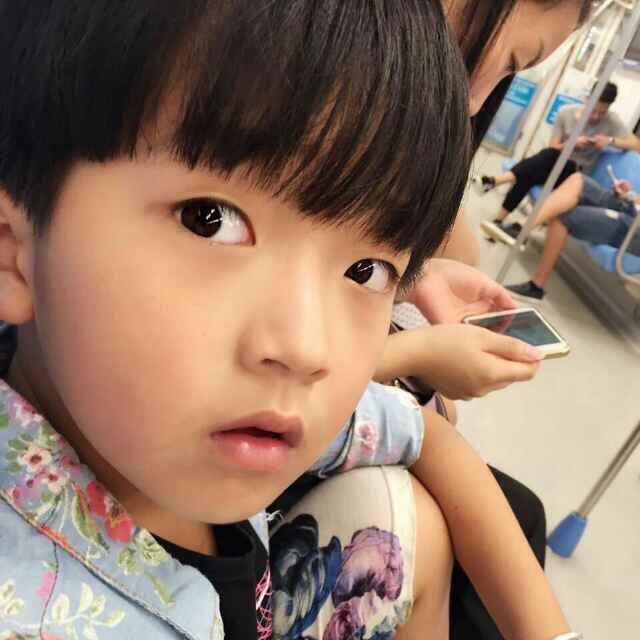 刘先生🌿
