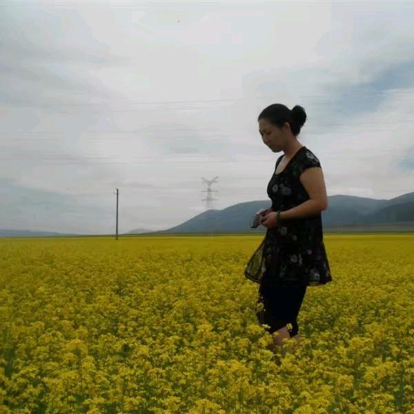 芸