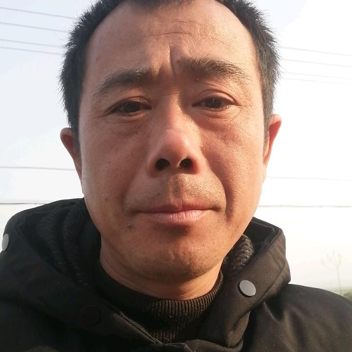 杨大哥