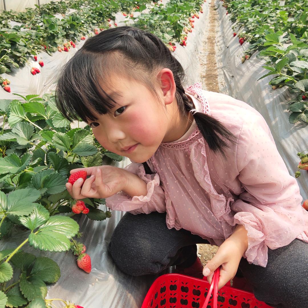 ঞ时光꧔ꦿ᭄安好࿐ᩚ 💕