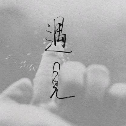 窗前萌猫咪
