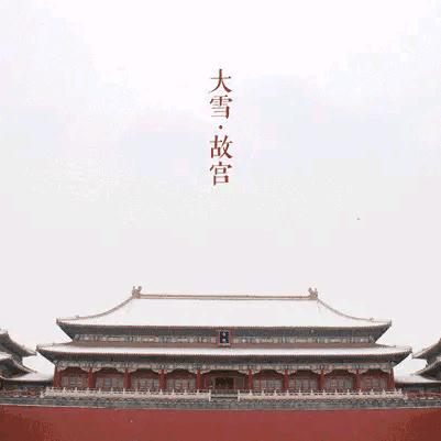 ♞天子门生♞　　　　　　　　🪳