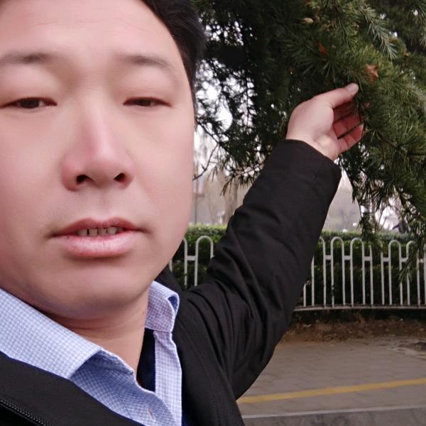 靳庄挖掘机拆房破碎