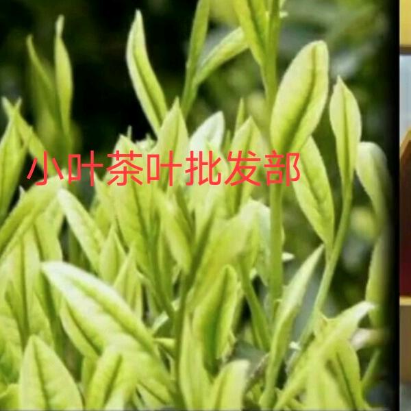 一品茶叶