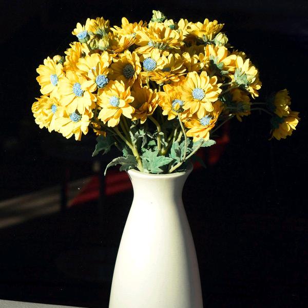 海阔天空，自由翱翔。