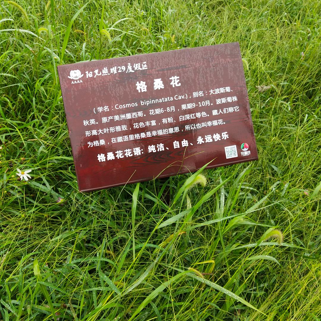 @像风一样