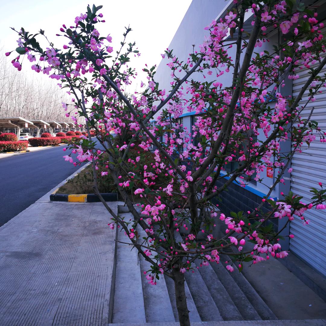 JZHOldJiang