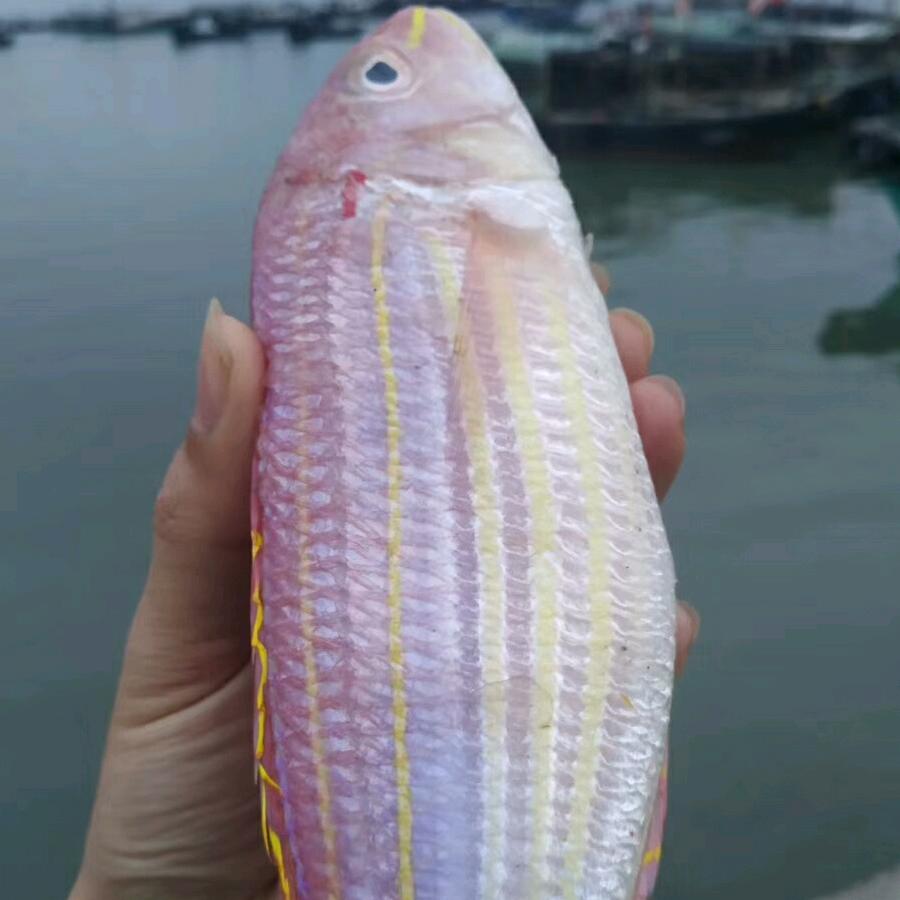海之味水产1