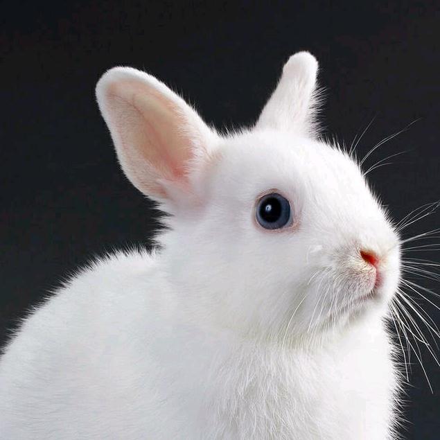 迷你世界:珊多拉西伯来