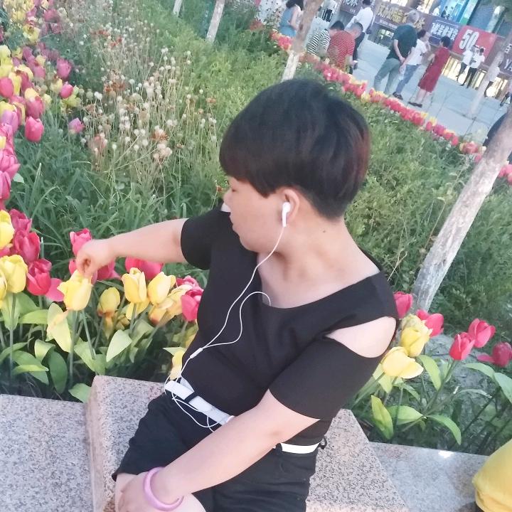 小燕子