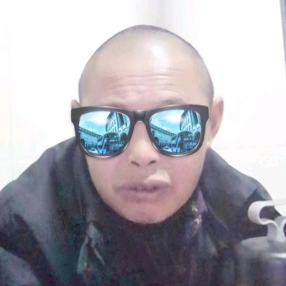 桉树