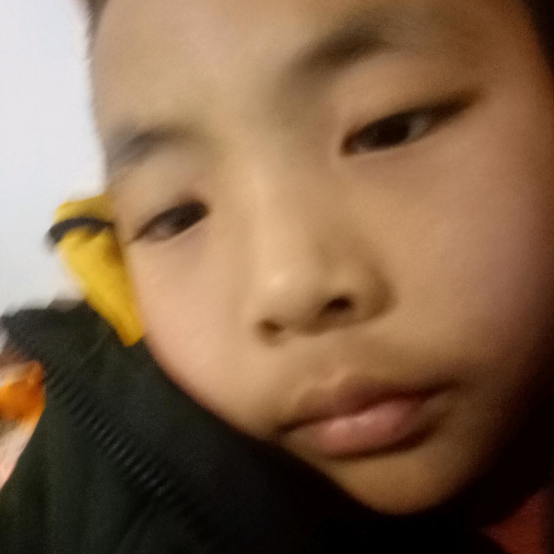 木头做的鱼名叫木鱼